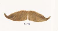 Hairaisers M/B 7 Bushy Moustache